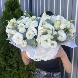 Royal Flora