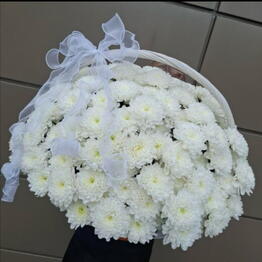 Flower and Decor Studio