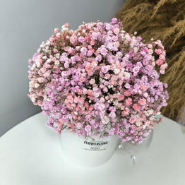 FLOWERCUBE