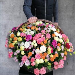 101 mezcla de arbustos de rosas