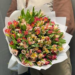 MOSFlovers