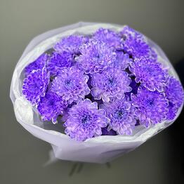 BloomFlow