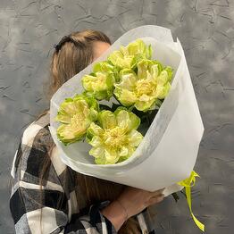 Devochki hotyat …. cvety