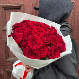 Pion_Spb