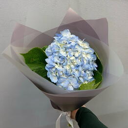 Prince Flowers Ushakov