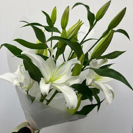 Lime Flowers