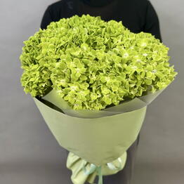 TopFlowers
