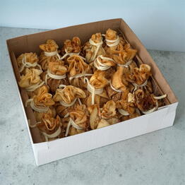 Allmakecake