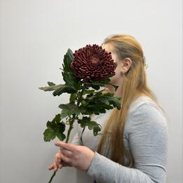 CVETY MANIT flowers shop