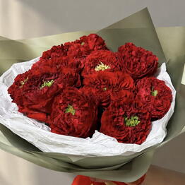 Who Loves