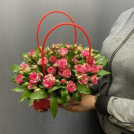 Family Flowers