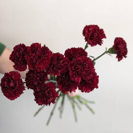 Soulful Flower