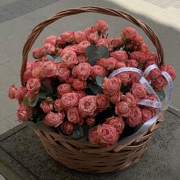 Bloom.by.bar