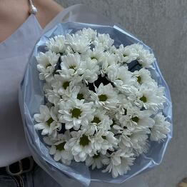 Красный Сад