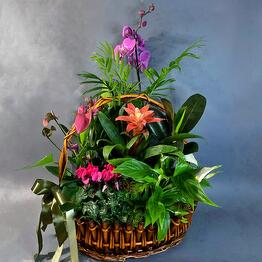 Flower_feya