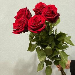 Азалия Flower Pub