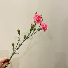 Flowershop
