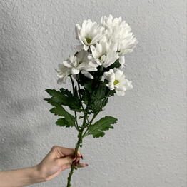 Мне Букет