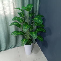 SvetFlowers
