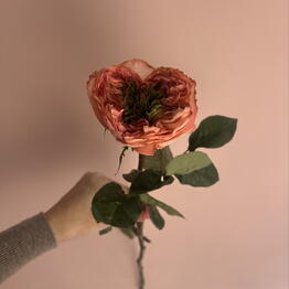 Floroom
