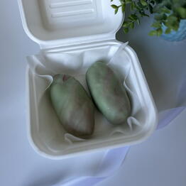 BasoSweet Bento