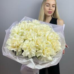Amur Flowers