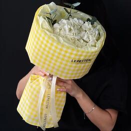 Lepestok_premium