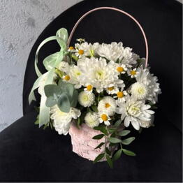 Samflowers