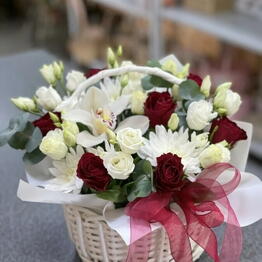 Ирис Blumen