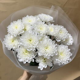 Sami flowers