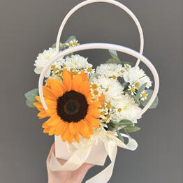 Viol botanical 