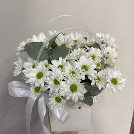 ANNA-Mi Flowers