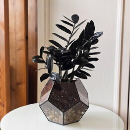 Vmesto slov