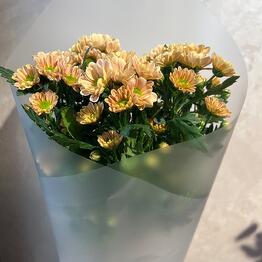 Flowers and Home