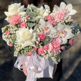 🌸Floraliya 🌸