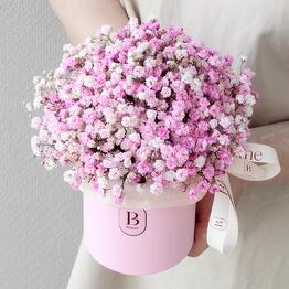 Blume
