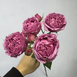 Bloomminsk