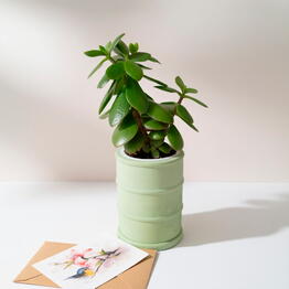 Flora Decor