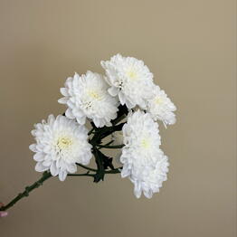 M&K Flowers