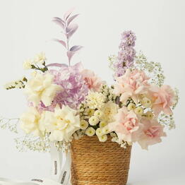 Rozen Dozen