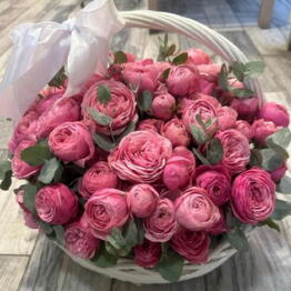 Julietta Riga Flowers
