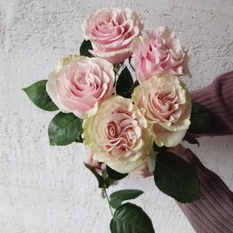 Loveflowerswow