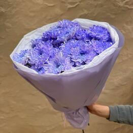 Flowers of the World