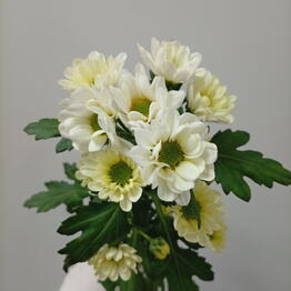 VL FLOWERS