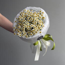 Kseni Flowers