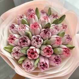 Vero Bloom