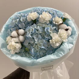 BLOOM ROOM