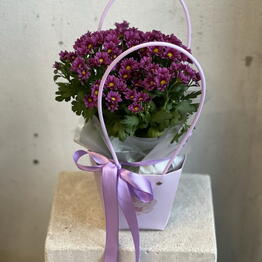 MaVa Flowers