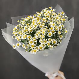 КРОЛИК(цветы,шары)