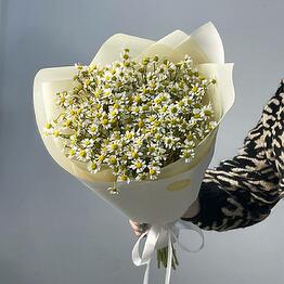 FLORCAT
